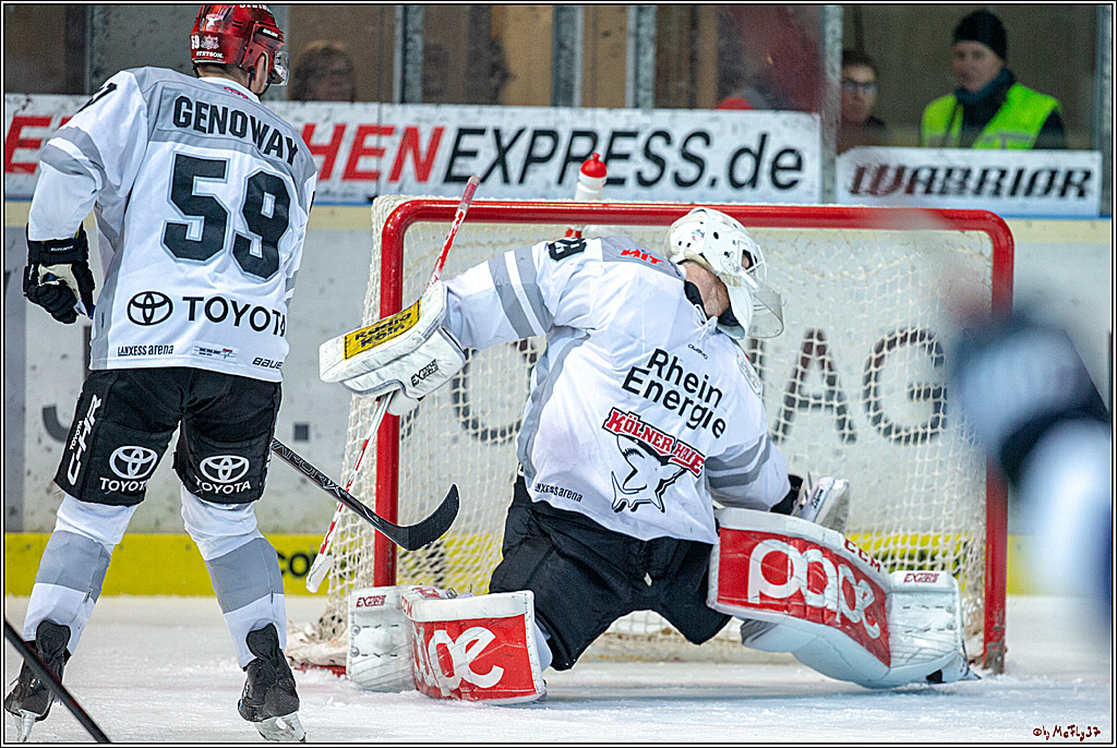 DEL; Iserlohn Roosters - Koelner Haie, 27.01.2019